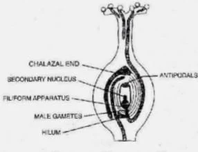 Solution Image