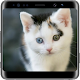 Download Cat Lock Screen For PC Windows and Mac 1.0