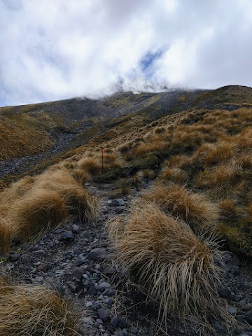 Fanthams Peak and Syme Hut Track Scree