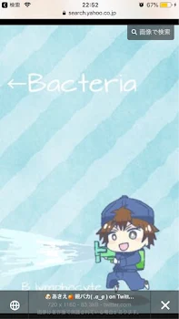ボウレイ 続