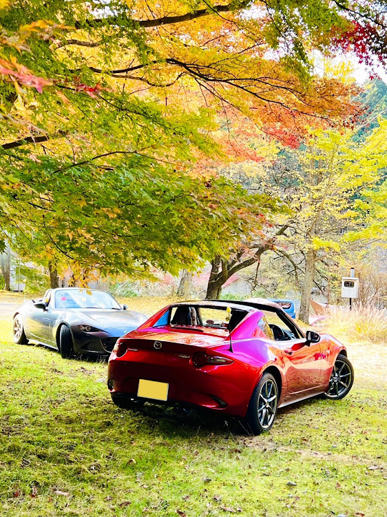 ロードスターのきまぐれ喫茶店・ヤビツ峠・宮ヶ瀬・鳥居原園地駐車場・アヒル隊長に関するカスタム事例の投稿画像11枚目