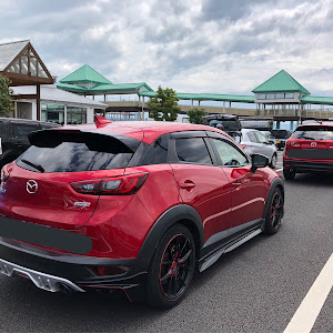 CX-3 DK5FW