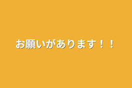 お願いがあります！！