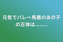 元気でバレー馬鹿のあの子の正体は........