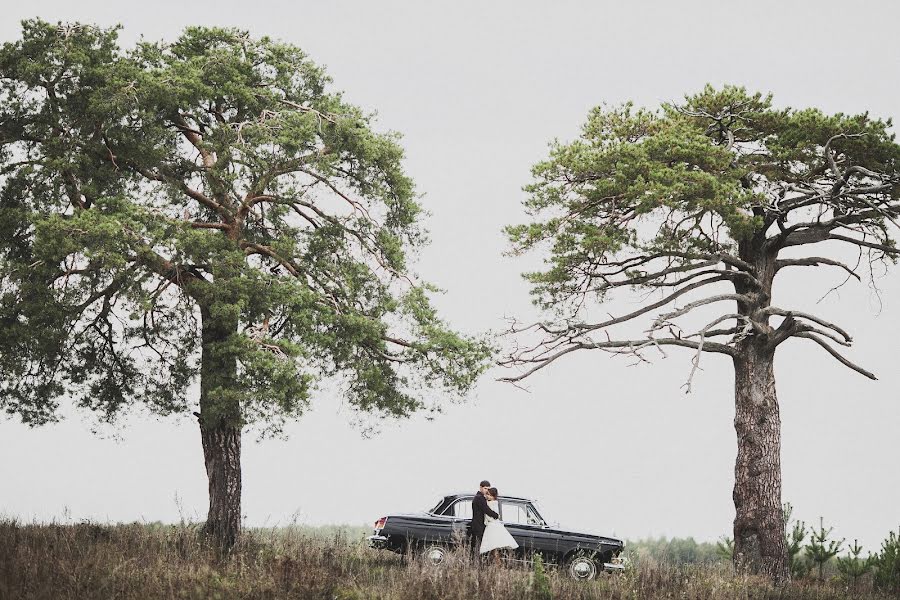 ช่างภาพงานแต่งงาน Aleksey Kinyapin (kinyapin) ภาพเมื่อ 14 มกราคม 2014