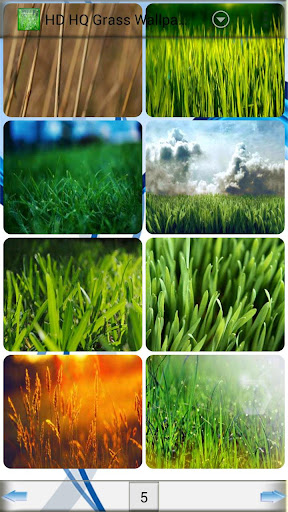 HD HQ Grass Wallpapers