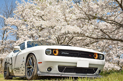 チャレンジャー のダッジチャレンジャー チャレンジャー ドライブ 桜 アメ車に関するカスタム メンテナンスの投稿画像 車のカスタム情報はcartune