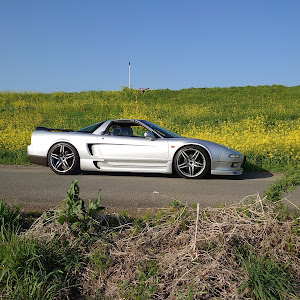 NSX NA1