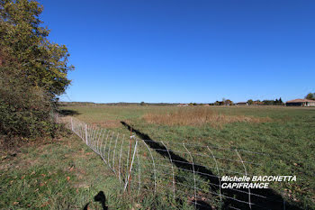 terrain à Montréjeau (31)