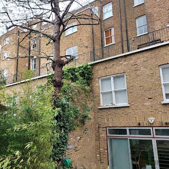 Cherry Tree Reduction and Ivy cut back in Chelsea album cover