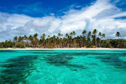 A serene stretch of beach on Martinique.