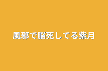 風邪で脳死してる紫月