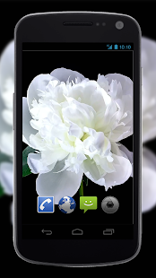 4K Flowers Video Live Wallpaper(圖2)-速報App