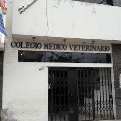 Colegio Medico Veterinario