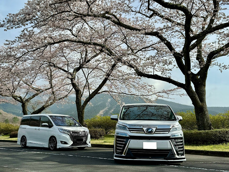 エスクァイアのサクラと愛車・桜リベンジ・フォーメーション撮影に関するカスタム事例の投稿画像2枚目