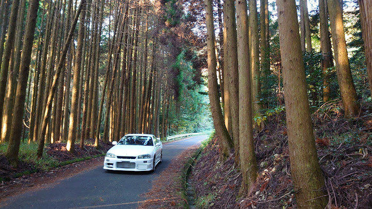 スカイラインの佐賀・朝活・ドライブ・紅葉を求めて・写活の秋に関するカスタム事例の投稿画像2枚目