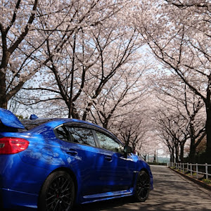 WRX STI VAB