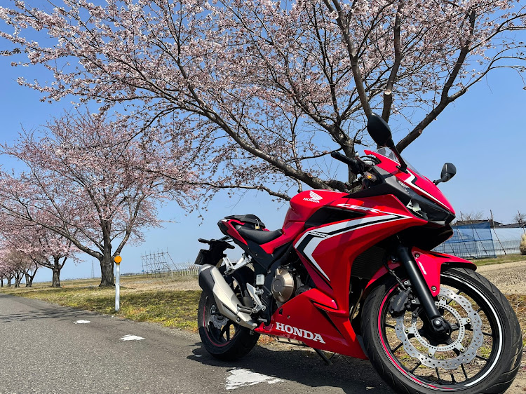 86の桜とコラボ🌸・洗車・春の交通安全週間・86BRZオーナーさんと繋がりたい・バイクに関するカスタム事例の投稿画像2枚目