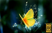 Butterfly Wallpaper HD Custom New Tab small promo image