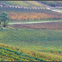 Langhe di 