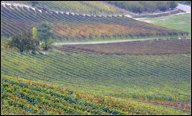 Langhe di ETTORE STABILINI