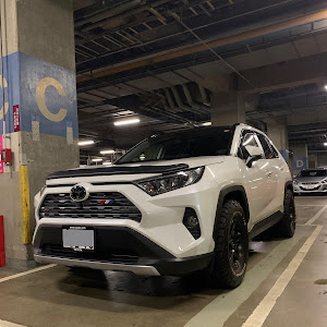 RAV4 MXAA54