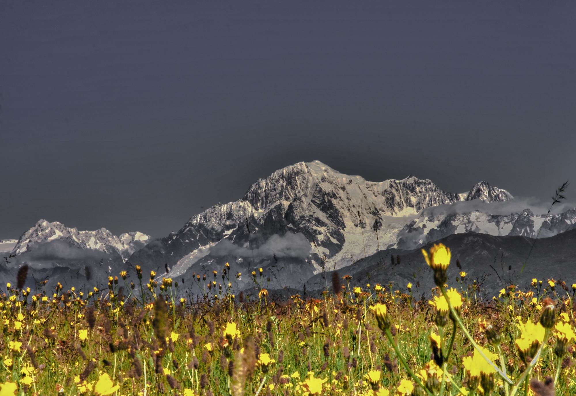 prato giallo monte bianco di widelight