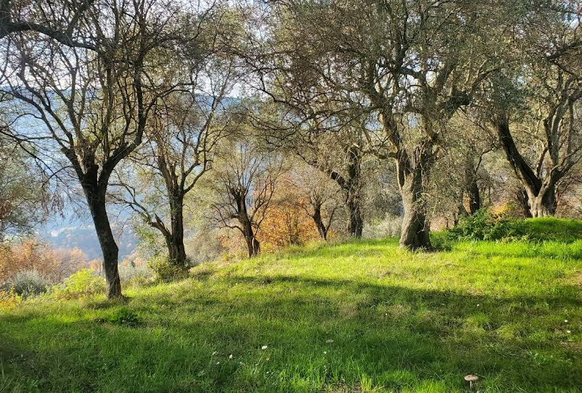  Vente Terrain à bâtir - à Contes (06390) 