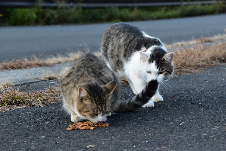 の投稿画像3枚目