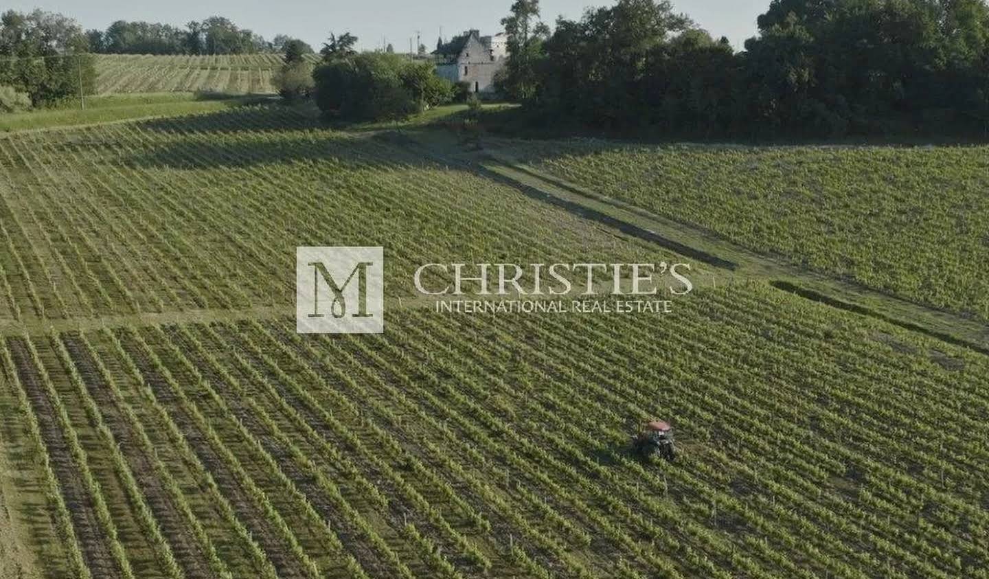 Vineyard with pool Monbazillac