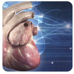 Cardiology 3D Small Animals Apk