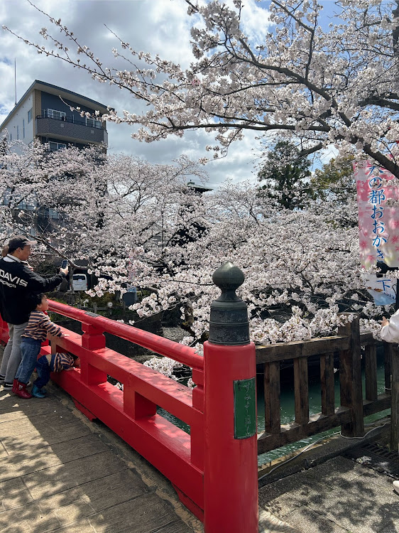 カプチーノの4月もよろしくお願い致します🌸に関するカスタム事例の投稿画像8枚目