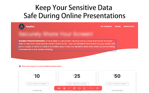 Anyblur - Conceal Sensitive Data in One Click