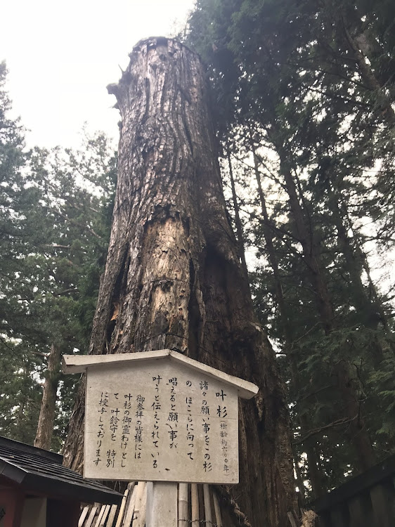 ヴェルファイアのhide✨さんが投稿したカスタム事例の投稿画像12枚目