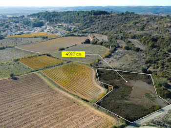 terrain à Murviel-lès-Béziers (34)