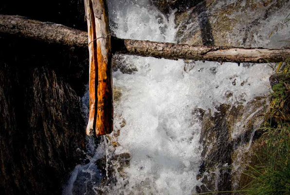 ACQUA di Sara Losa photo