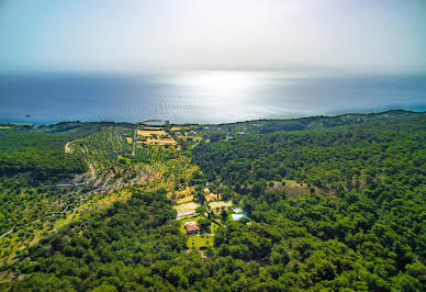 Villa with garden and terrace 2