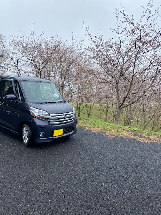 デイズルークスの桜とコラボ・KIRIN水源の森・桜と愛車・ドライブに関するカスタム事例の投稿画像4枚目