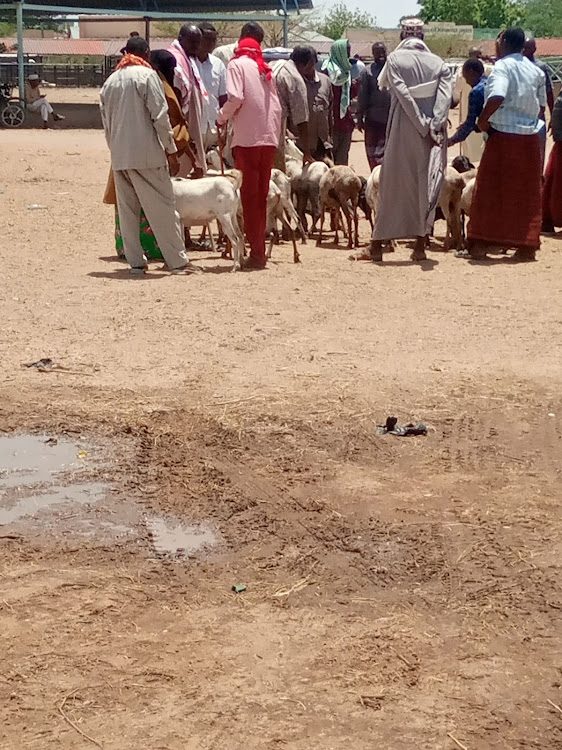 Herders at the Garissa livestock market on Tuesday.