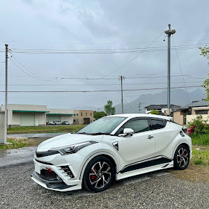 C-HR ZYX10