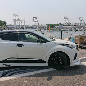 C-HR NGX10