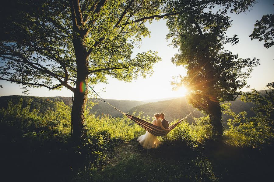 Hochzeitsfotograf Alea Horst (horst). Foto vom 28. Juni 2017