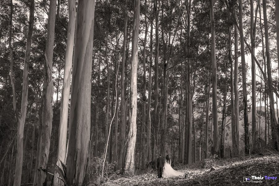 Wedding photographer Thais Teves (thaisteves). Photo of 20 June 2017