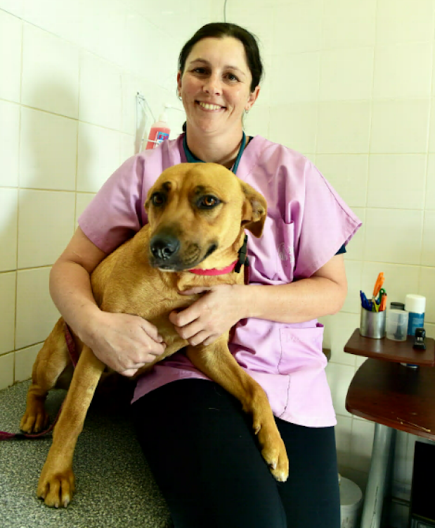 Animal Anti-Cruelty League Port Elizabeth vet Dr Kathleen Davis has warned that intervention is vital in the Bay’s dog virus crisis 1 July 2019