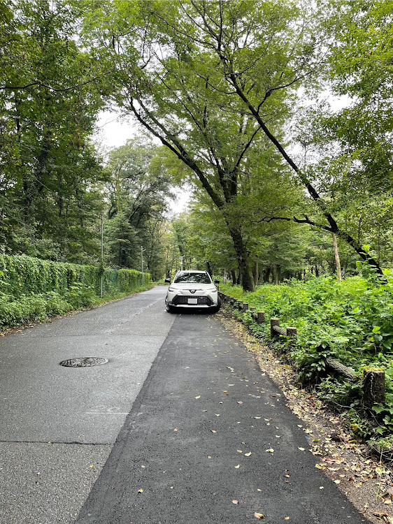 カローラクロスの休みはあっという間に終わる・森🌳・マイナスイオン・豪雨にお気をつけ下さいに関するカスタム事例の投稿画像4枚目