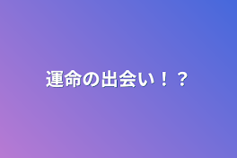 運命の出会い！？