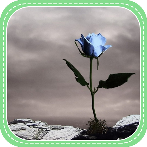 Lonely Blue Rose 個人化 App LOGO-APP開箱王