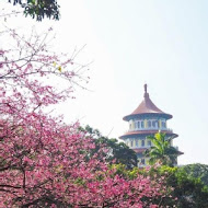 星巴克 淡水雲門門市