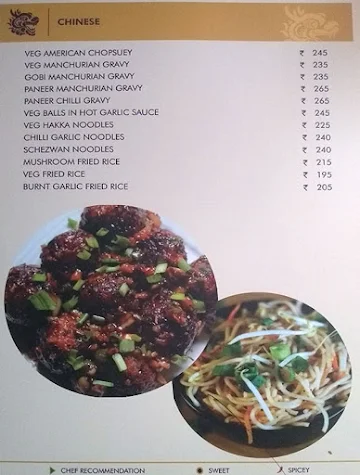 Vidisha Pure Veg menu 