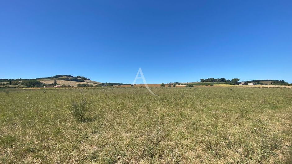 Vente terrain  39841 m² à Gaillac (81600), 99 000 €